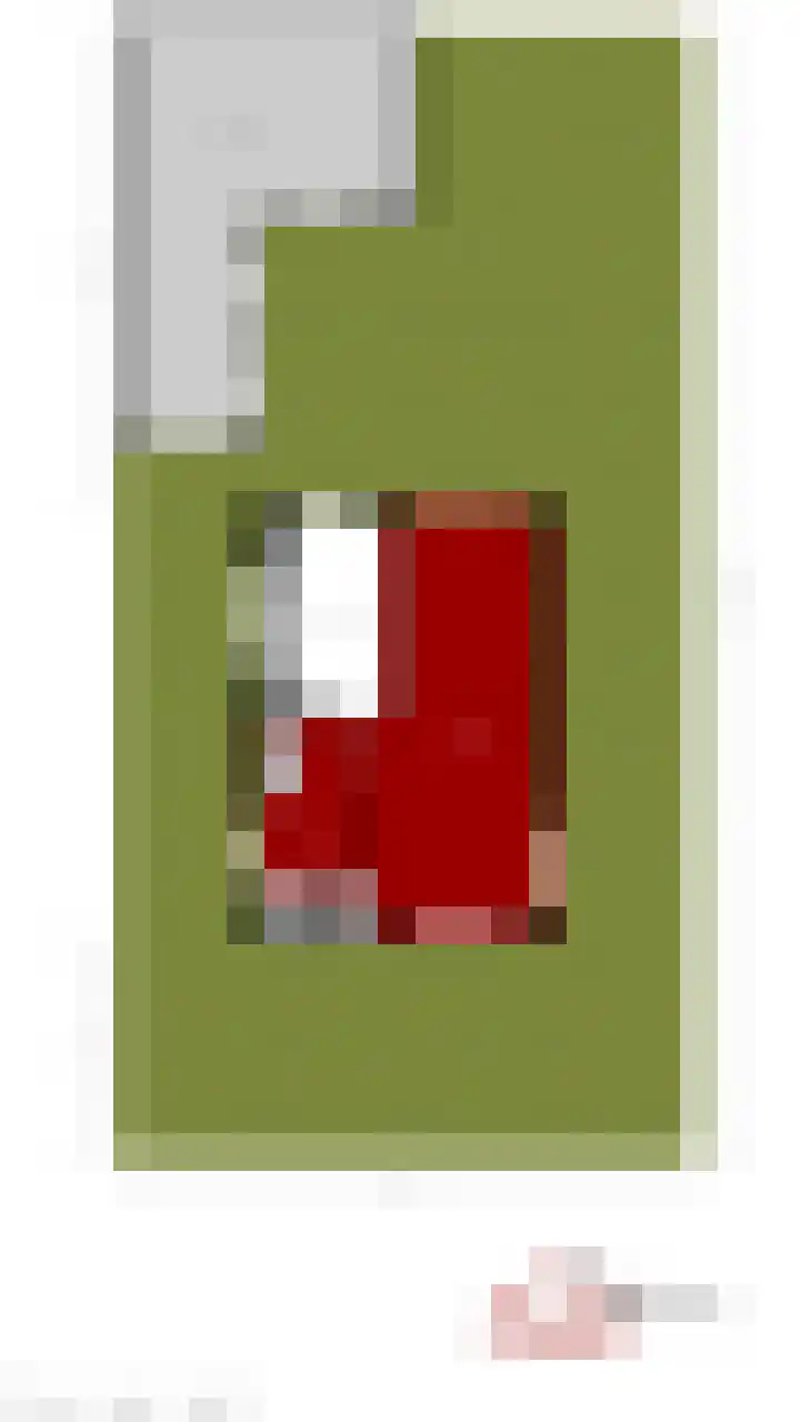 Rode Schouw 34 Halsteren thumbnail 53