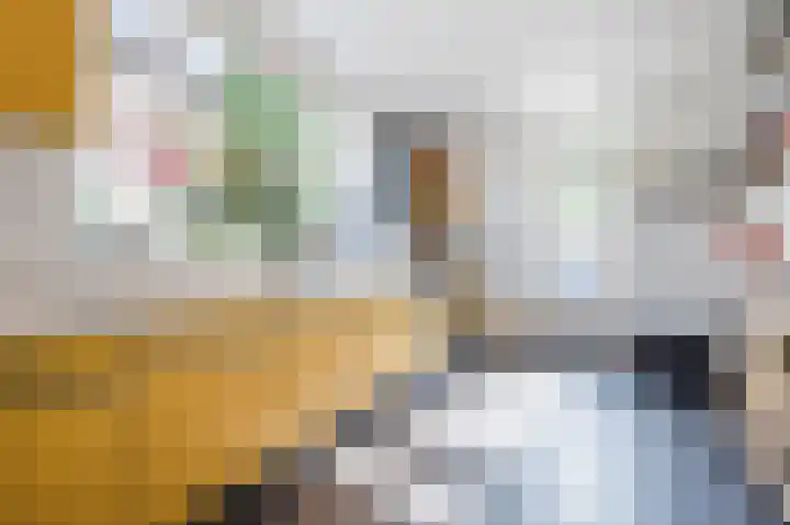 Rode Schouw 34 Halsteren thumbnail 6