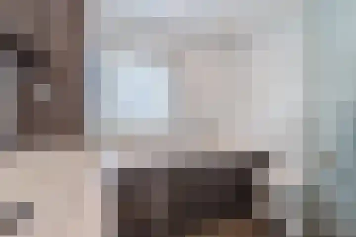 Rode Schouw 34 Halsteren thumbnail 7