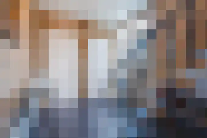 Rode Schouw 34 Halsteren thumbnail 8