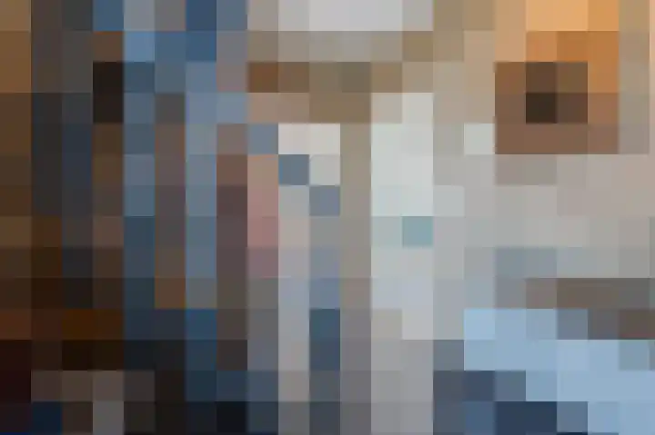 Rode Schouw 34 Halsteren thumbnail 9