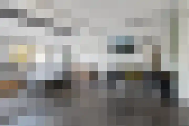 Rode Schouw 70 Halsteren thumbnail 10