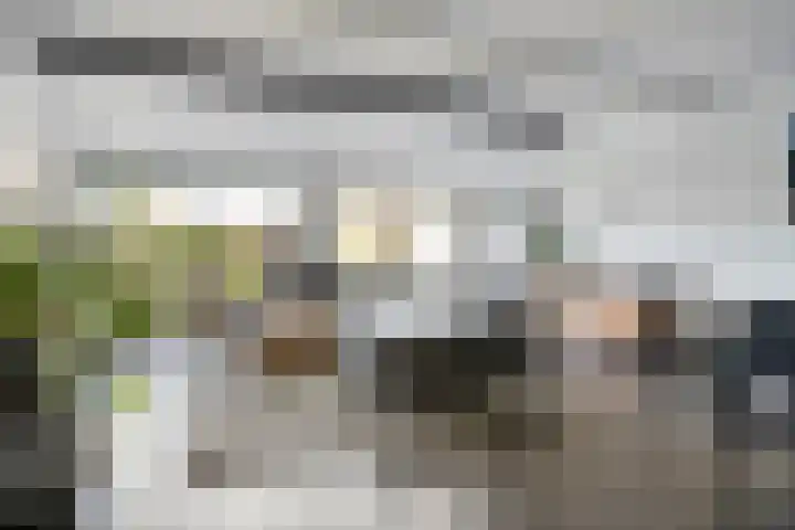 Rode Schouw 70 Halsteren thumbnail 11