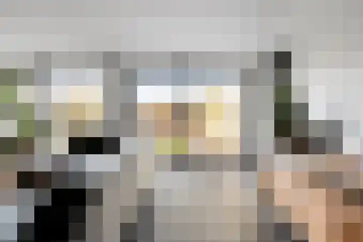 Rode Schouw 70 Halsteren thumbnail 13