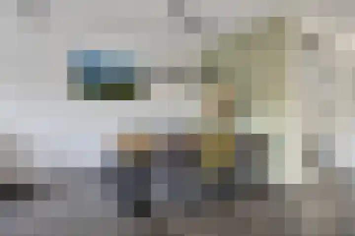 Rode Schouw 70 Halsteren thumbnail 16