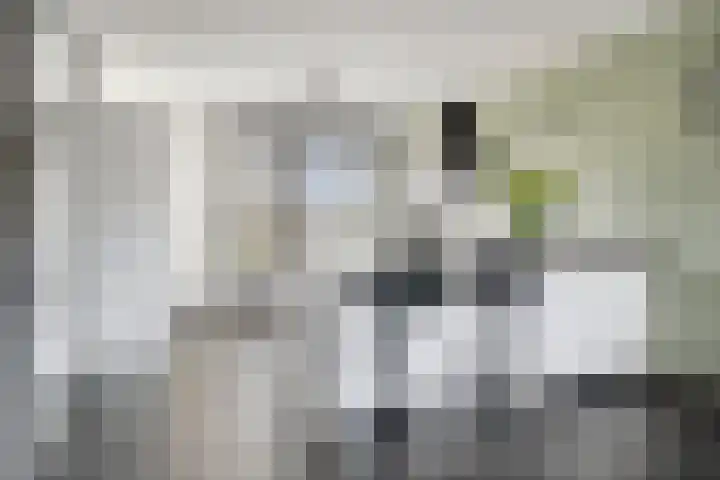 Rode Schouw 70 Halsteren thumbnail 19