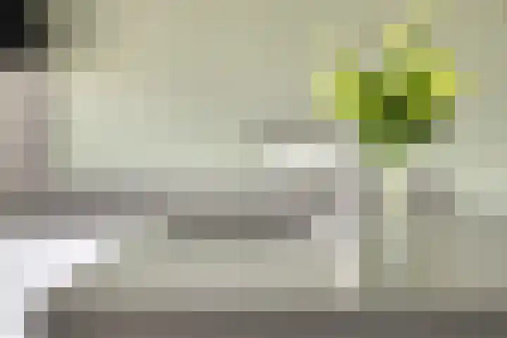 Rode Schouw 70 Halsteren thumbnail 21