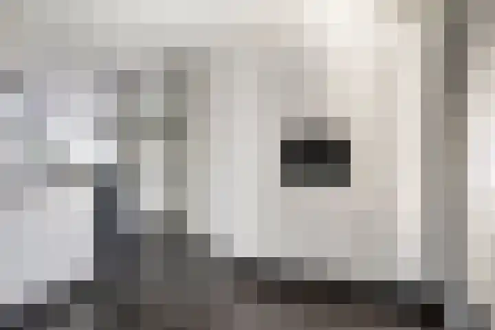 Rode Schouw 70 Halsteren thumbnail 22