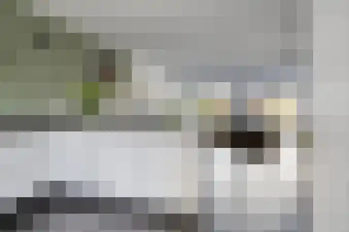Rode Schouw 70 Halsteren thumbnail 23