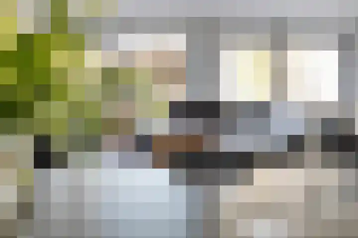 Rode Schouw 70 Halsteren thumbnail 24