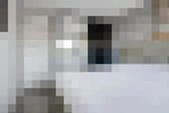 Rode Schouw 70 Halsteren thumbnail 27