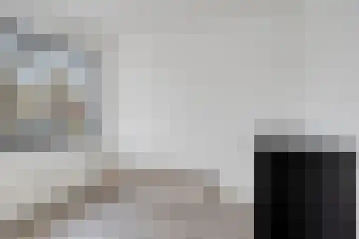 Rode Schouw 70 Halsteren thumbnail 31