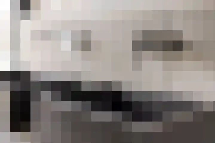 Rode Schouw 70 Halsteren thumbnail 33