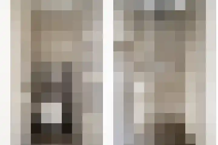 Rode Schouw 70 Halsteren thumbnail 34