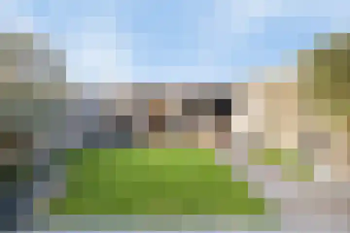 Rode Schouw 70 Halsteren thumbnail 36