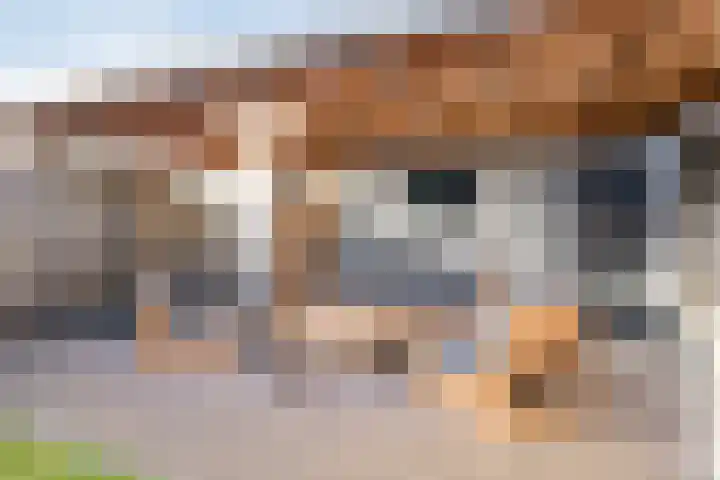 Rode Schouw 70 Halsteren thumbnail 4