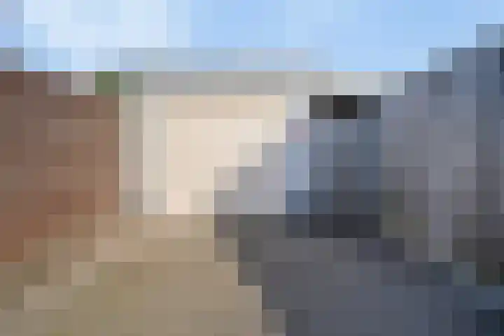 Rode Schouw 70 Halsteren thumbnail 41