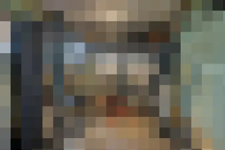 Rode Schouw 70 Halsteren thumbnail 42