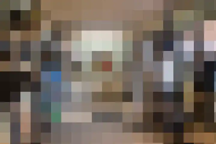 Rode Schouw 70 Halsteren thumbnail 43