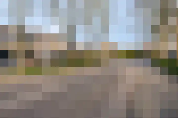 Rode Schouw 70 Halsteren thumbnail 44