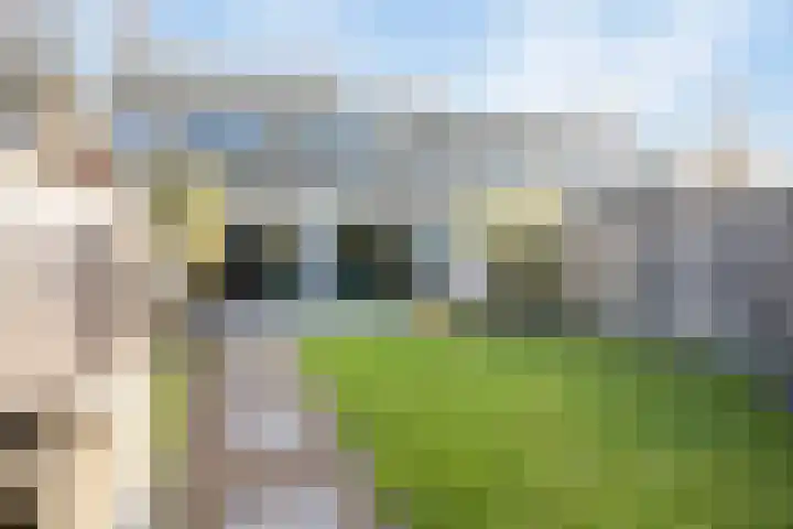 Rode Schouw 70 Halsteren thumbnail 5