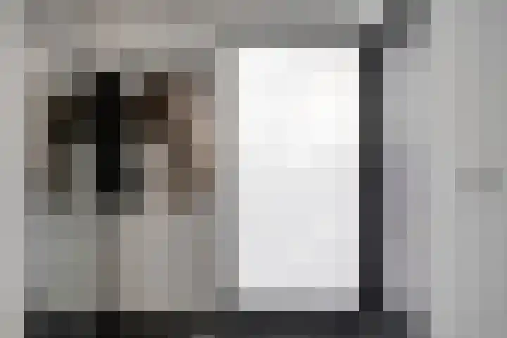 Rode Schouw 70 Halsteren thumbnail 7