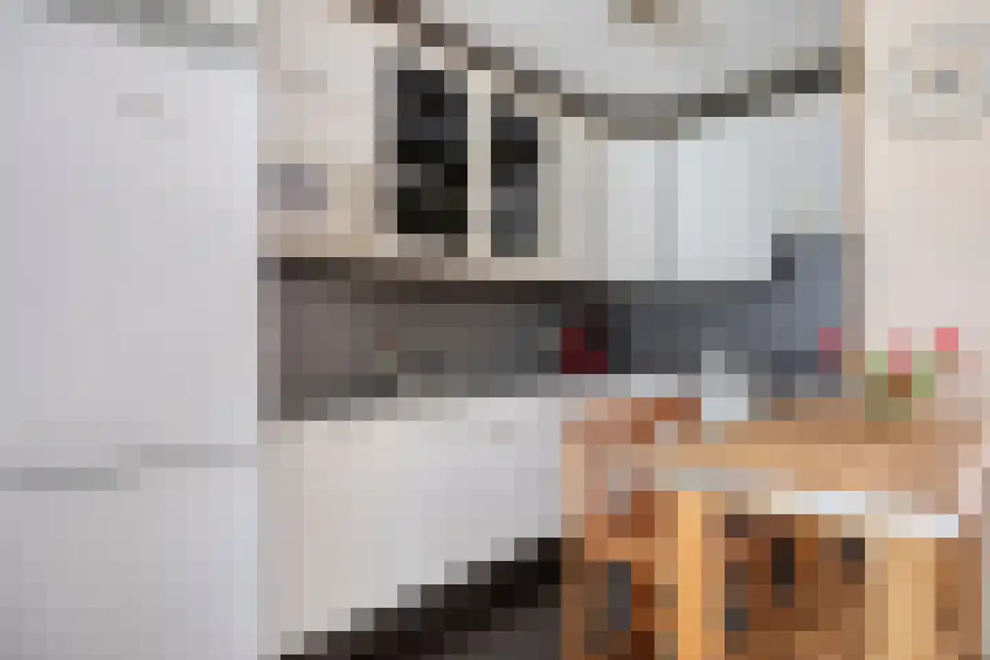 Rode Schouw 78 Halsteren thumbnail 10