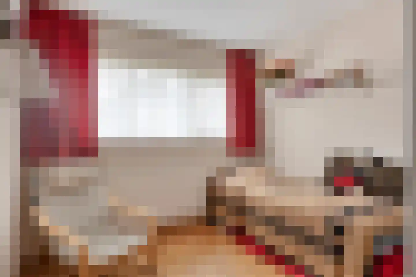 Rode Schouw 78 Halsteren thumbnail 18