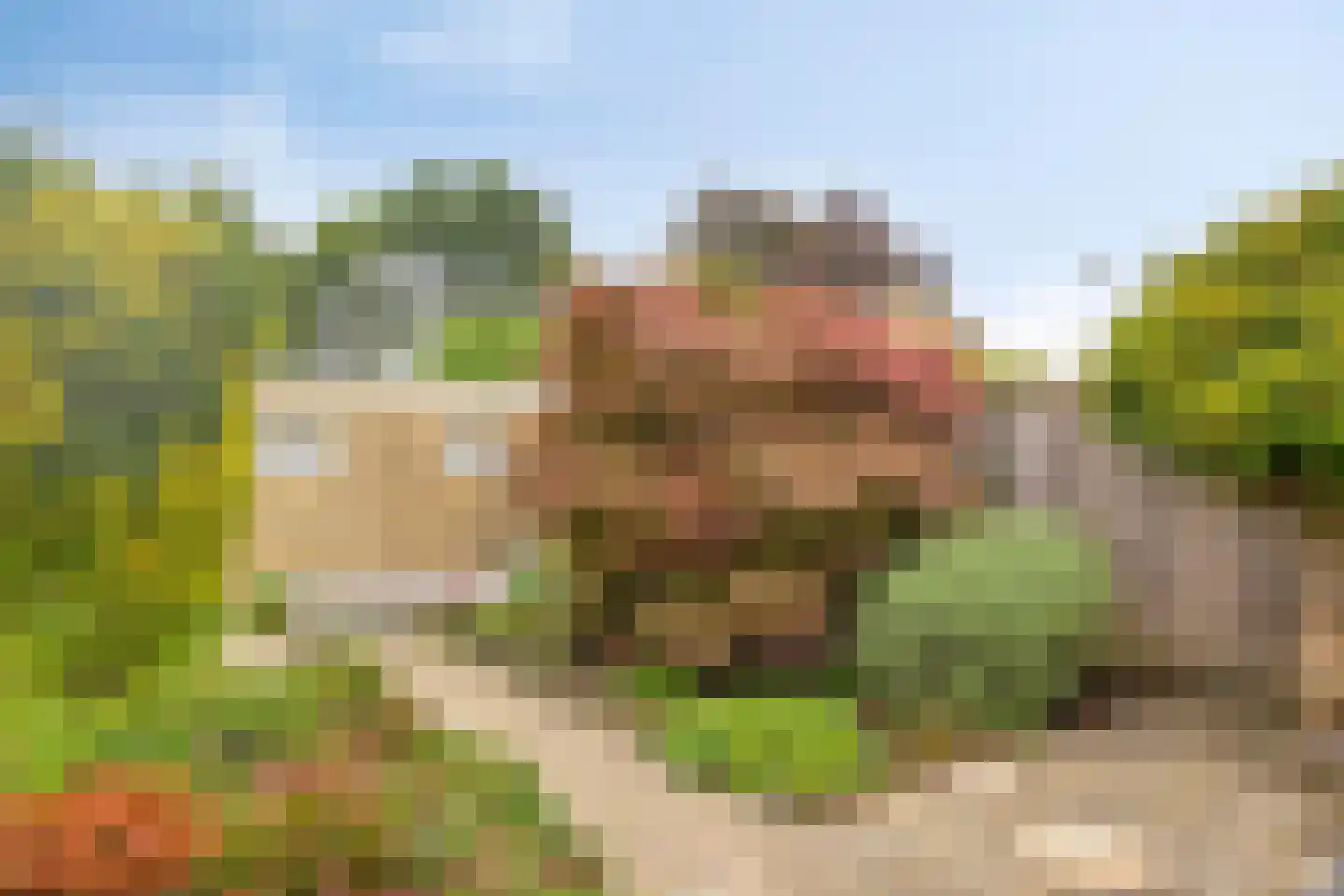 Rode Schouw 78 Halsteren thumbnail 22