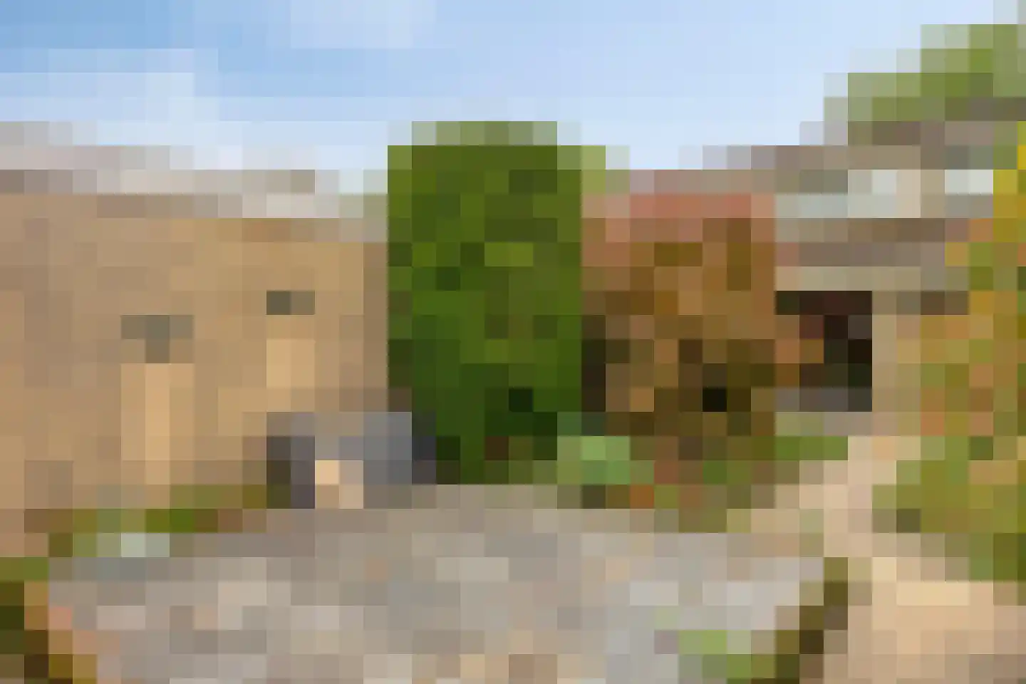 Rode Schouw 78 Halsteren thumbnail 25