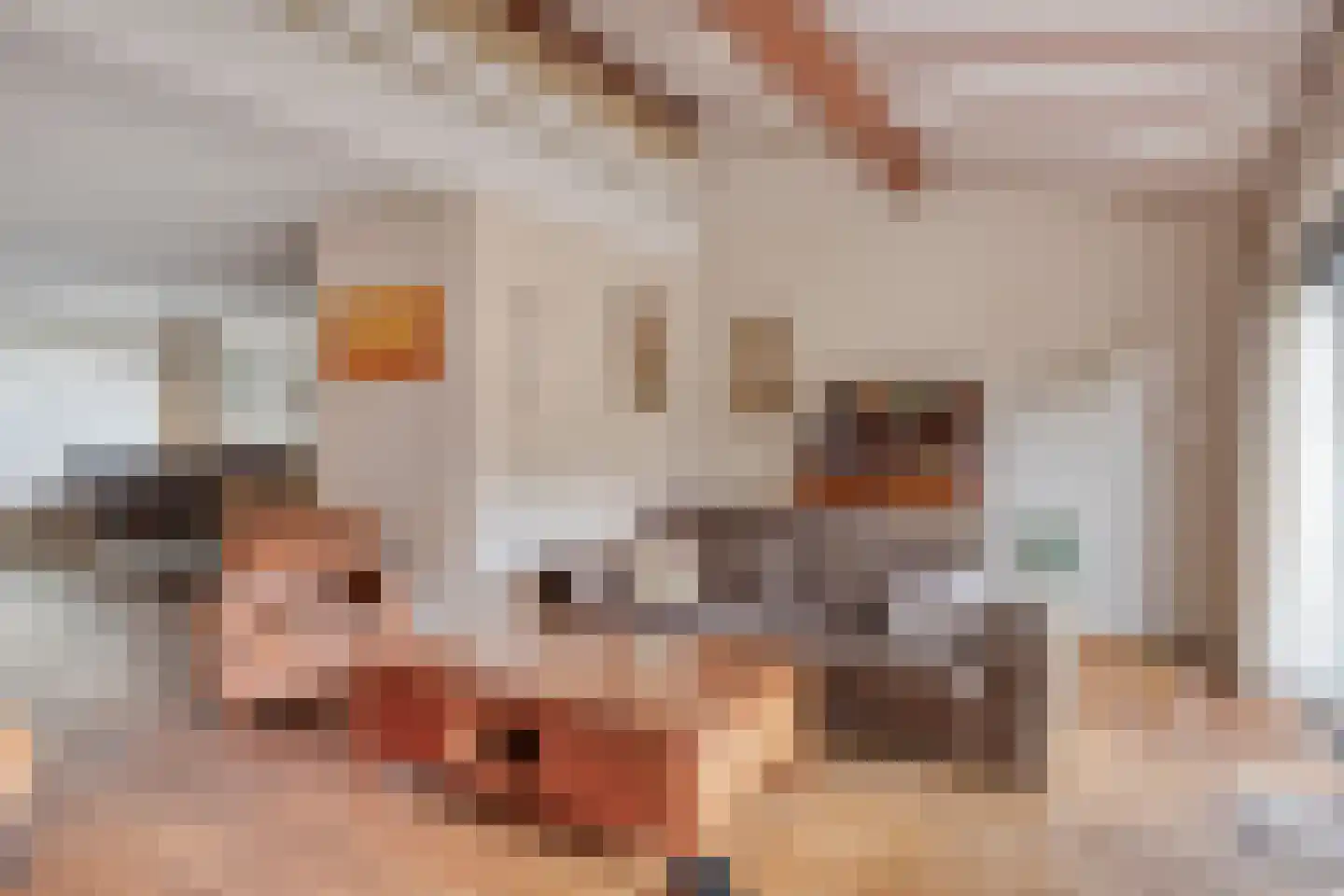 Rode Schouw 78 Halsteren thumbnail 7