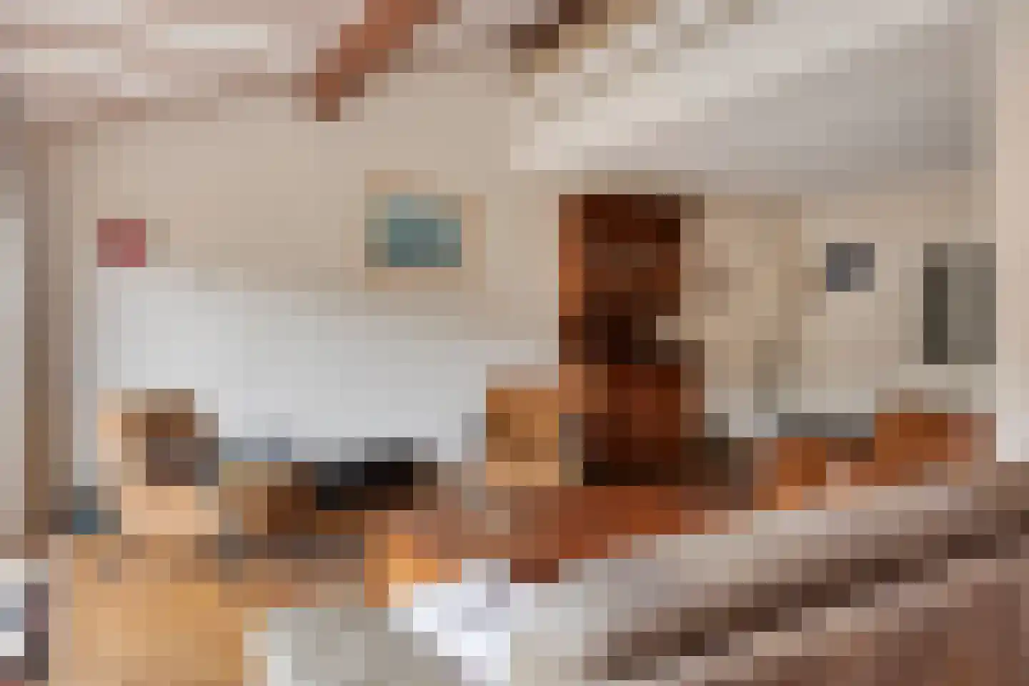 Rode Schouw 78 Halsteren thumbnail 8