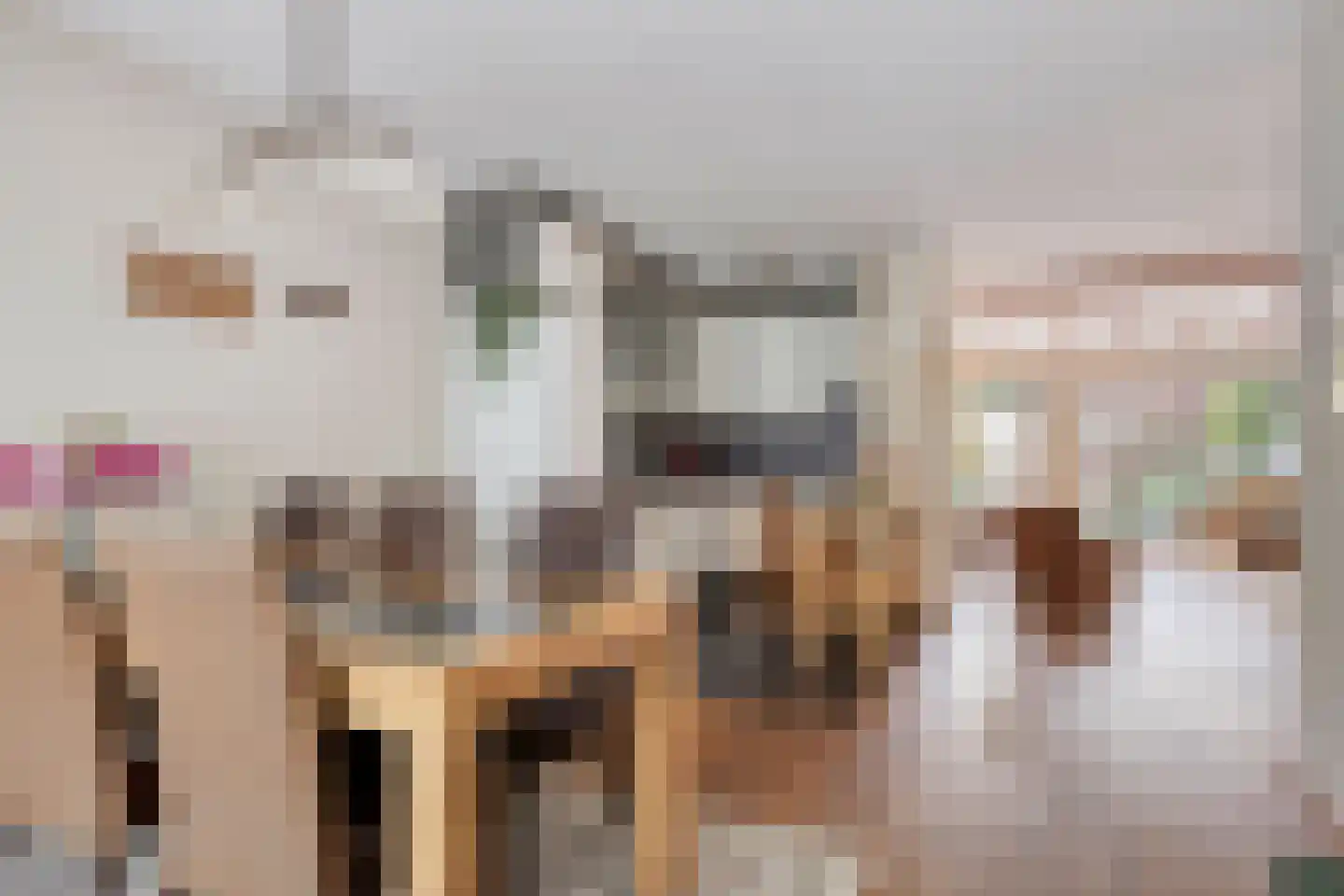 Rode Schouw 78 Halsteren thumbnail 9