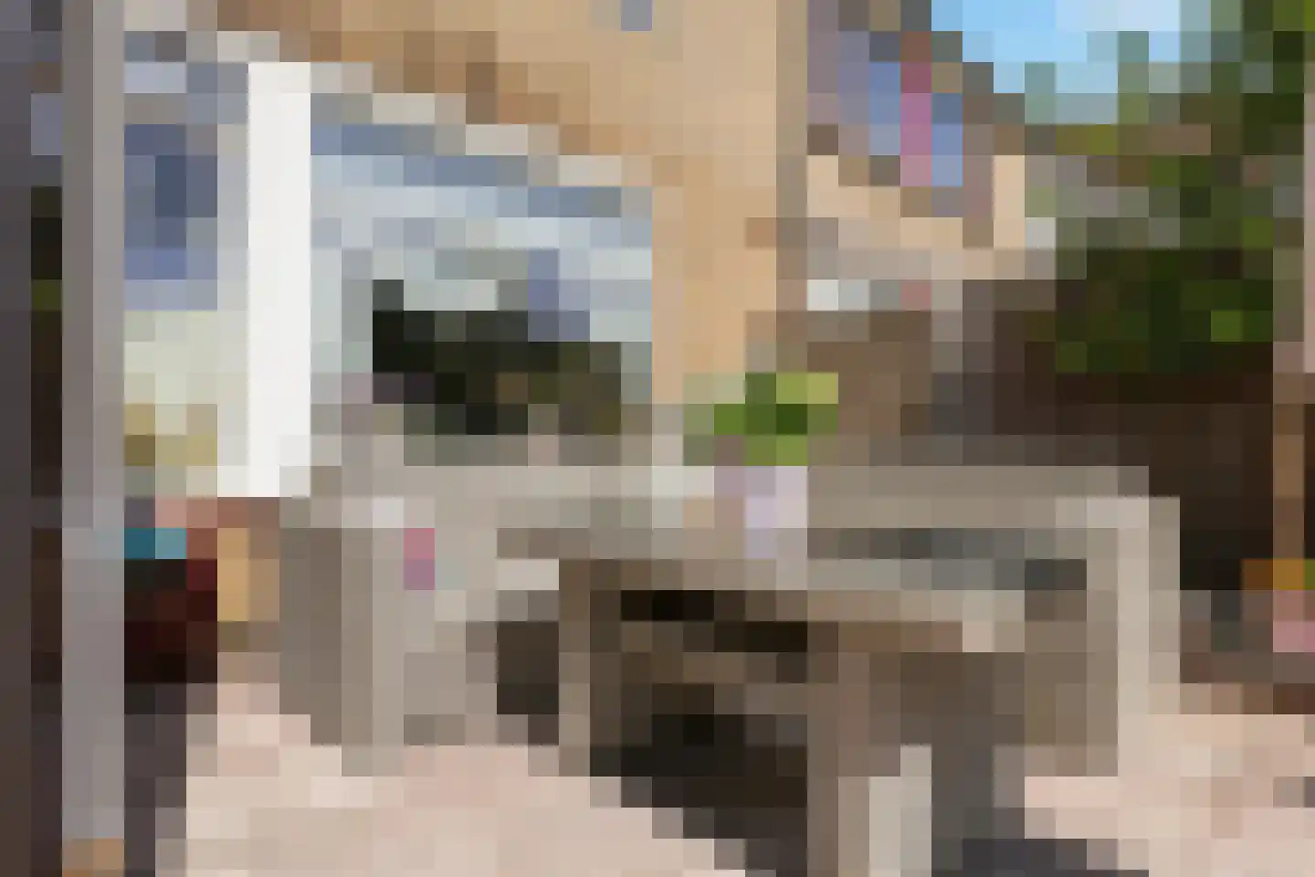 Rode Zee 16 Zaandam thumbnail 11