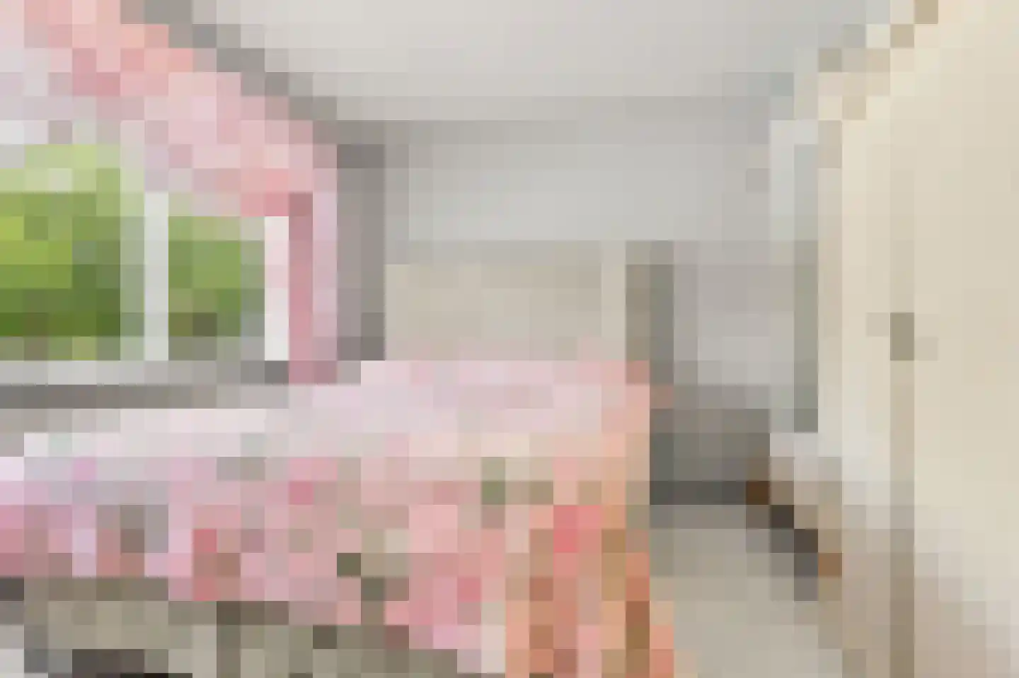 Rode Zee 16 Zaandam thumbnail 19