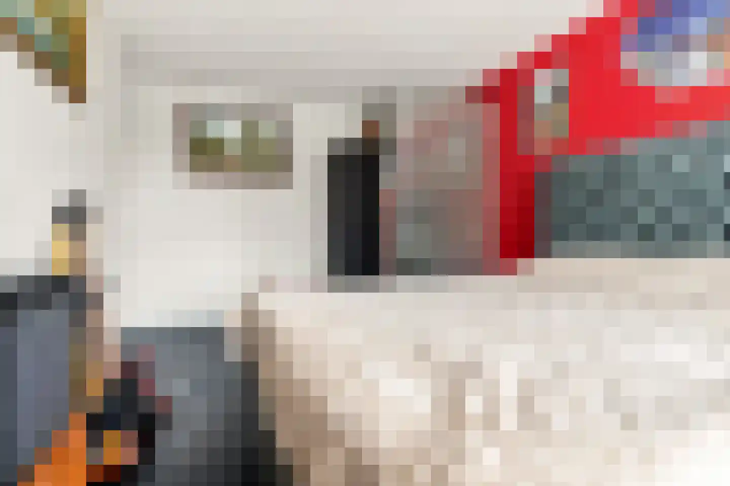 Rode Zee 16 Zaandam thumbnail 22