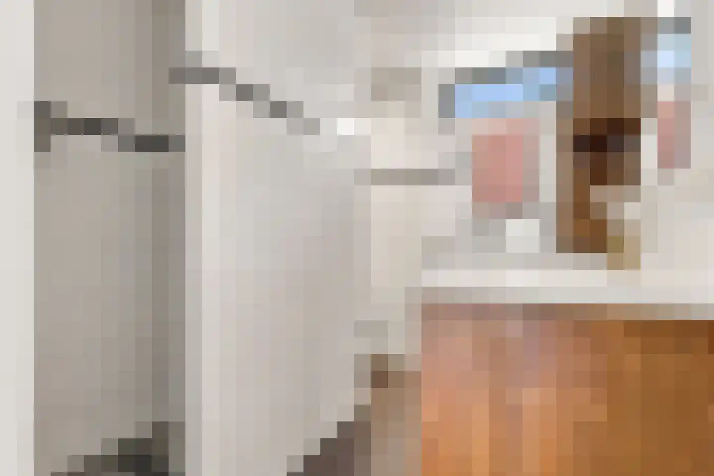 Rode Zee 16 Zaandam thumbnail 25