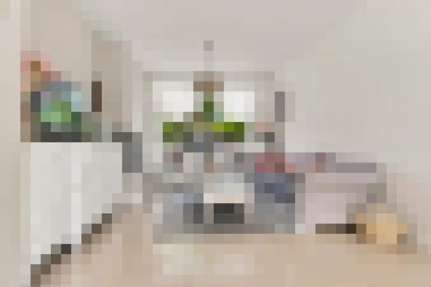 Rode Zee 16 Zaandam thumbnail 5