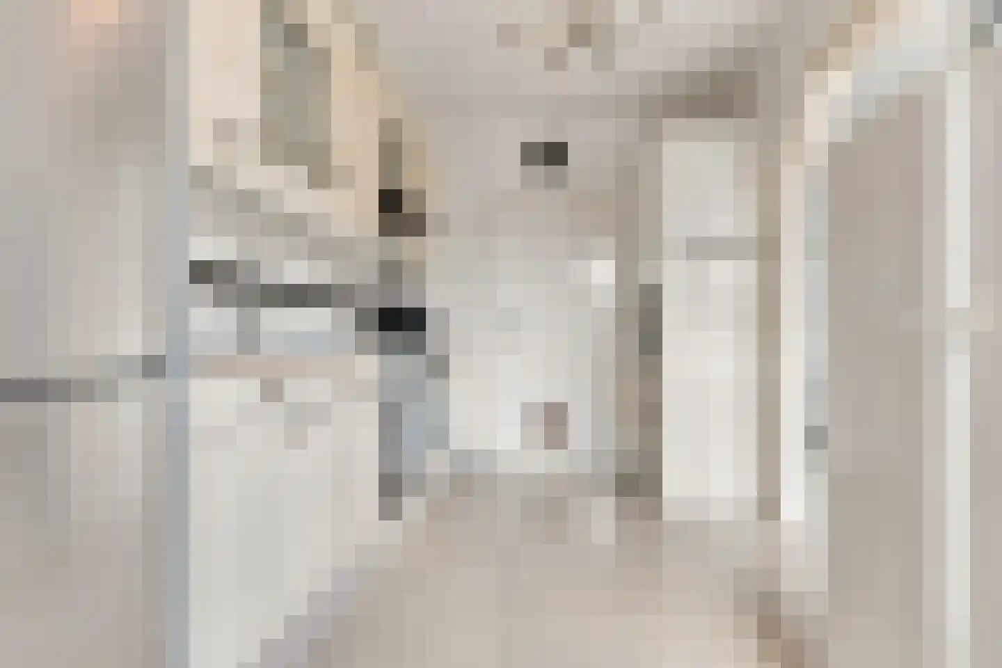 Rode Zee 16 Zaandam thumbnail 9