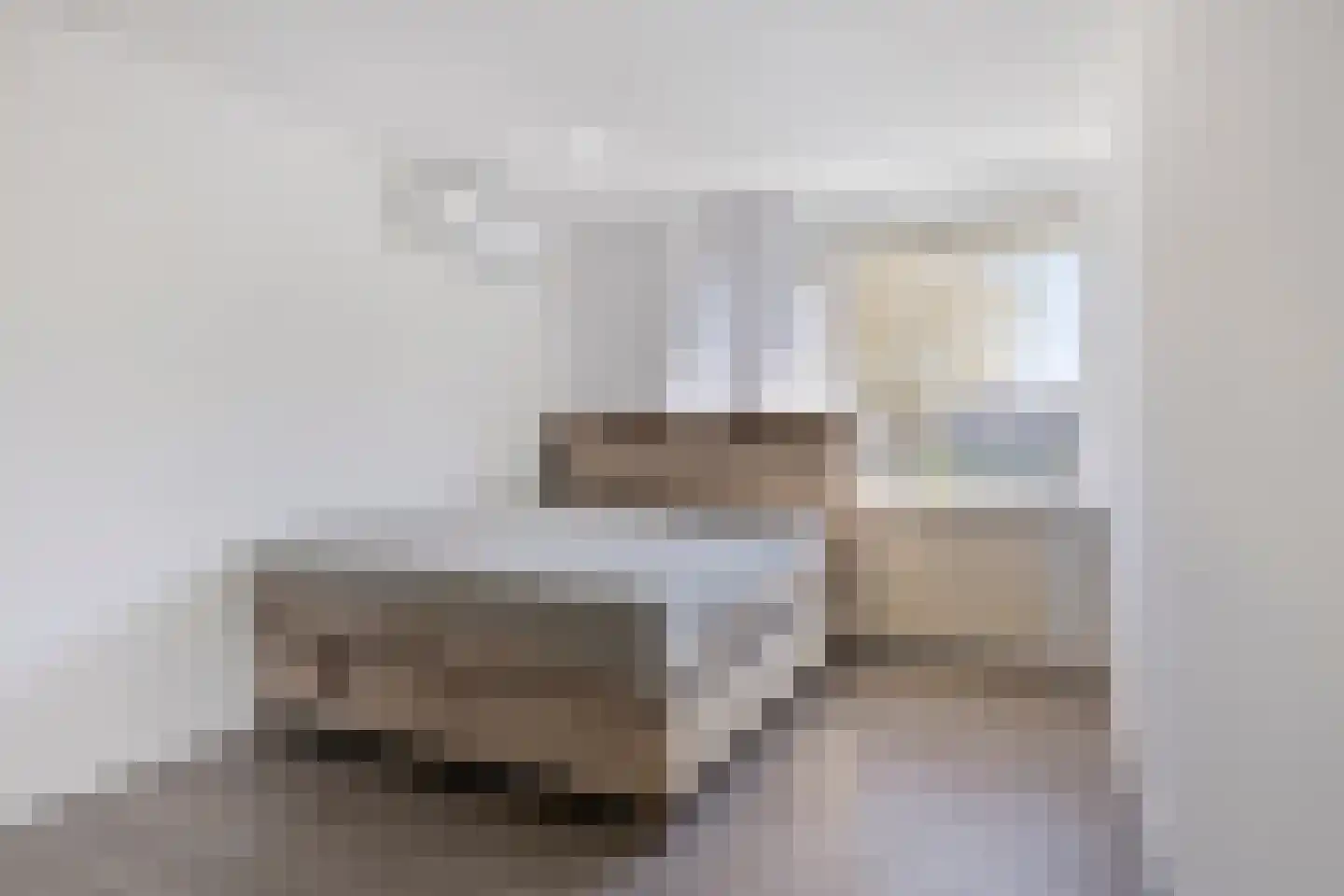 Rode Zee 20 Zaandam thumbnail 12
