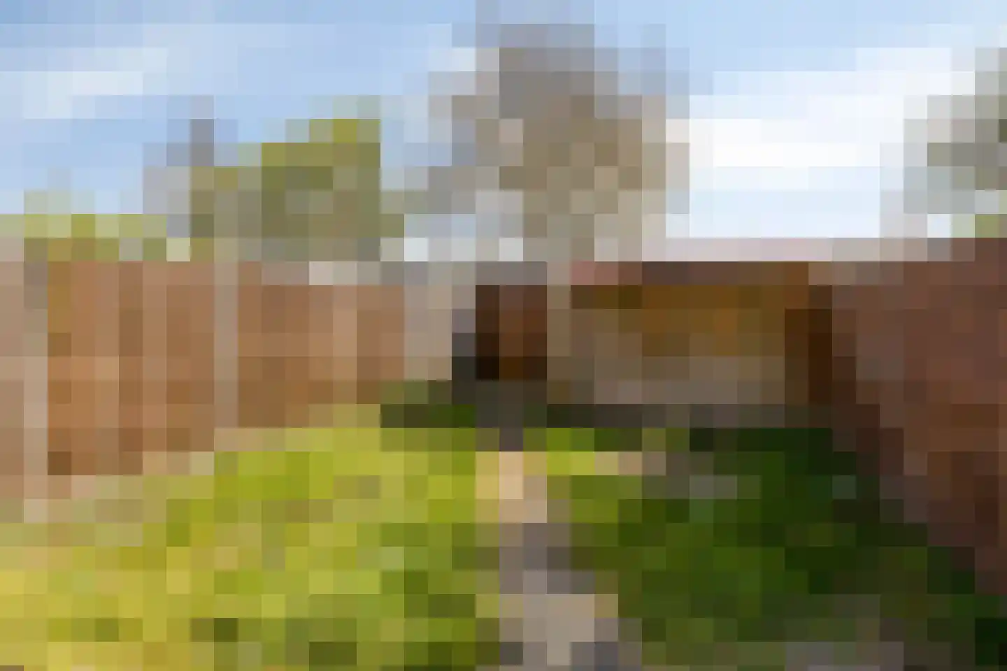 Rode Zee 20 Zaandam thumbnail 24
