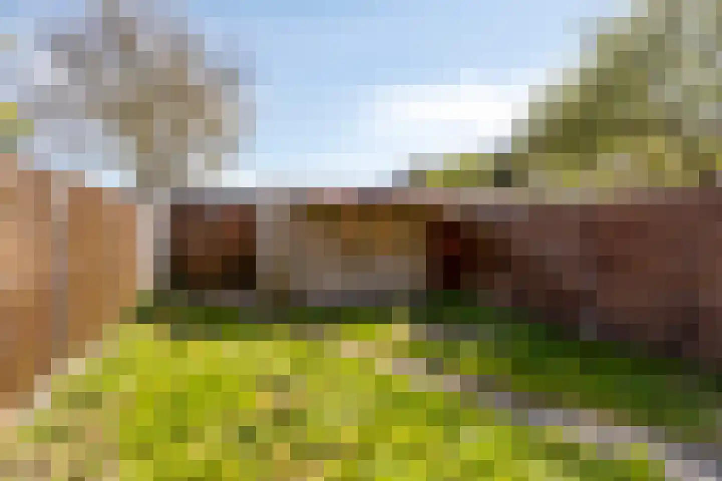 Rode Zee 20 Zaandam thumbnail 25