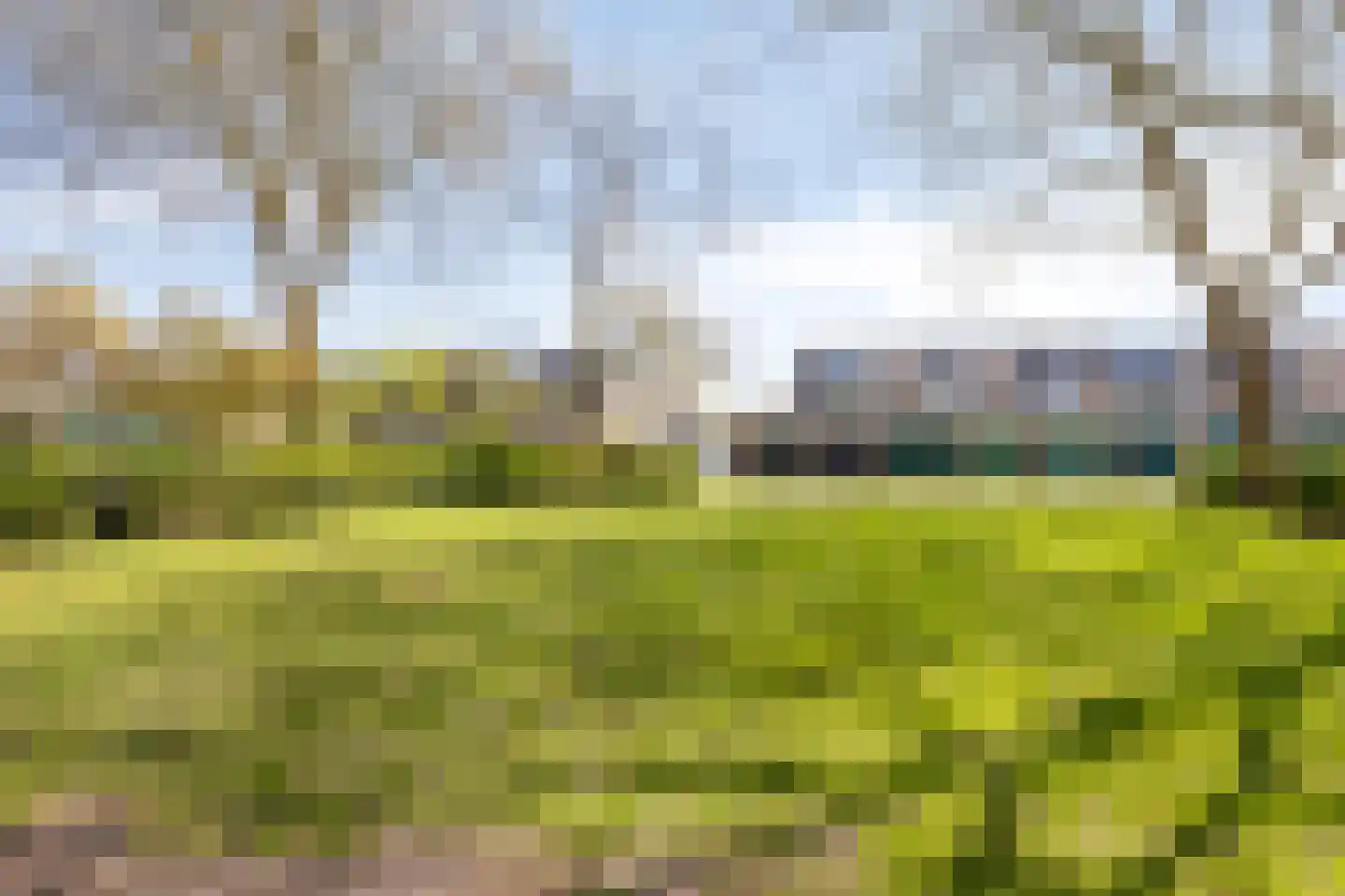 Rode Zee 20 Zaandam thumbnail 29