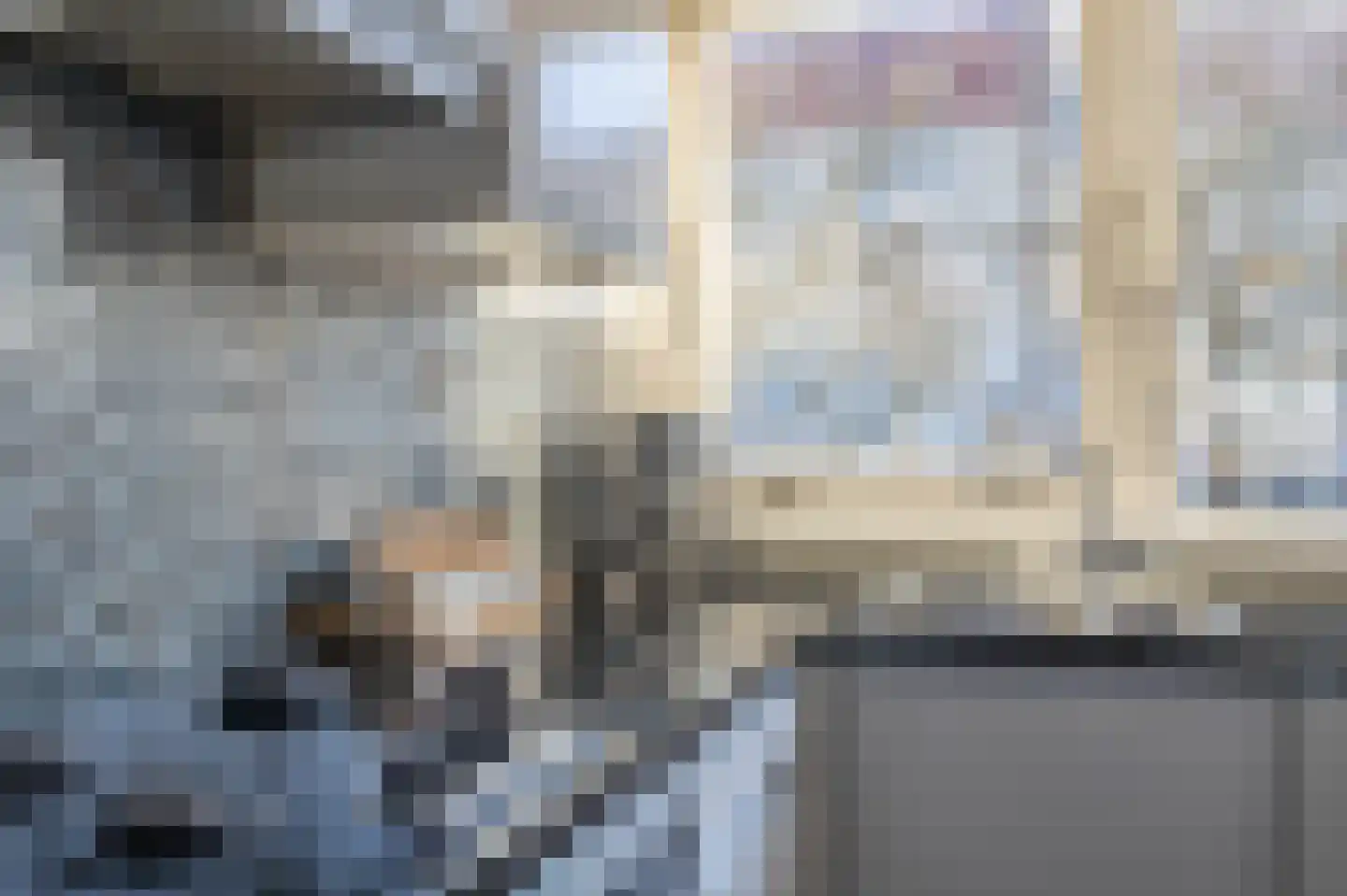 Rode Zee 31 Zaandam thumbnail 12