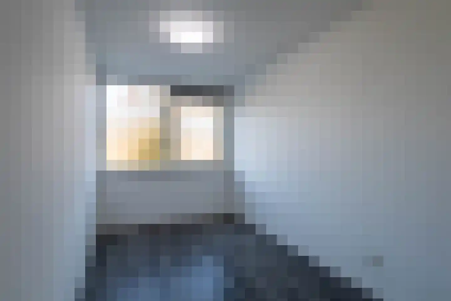 Rode Zee 31 Zaandam thumbnail 19