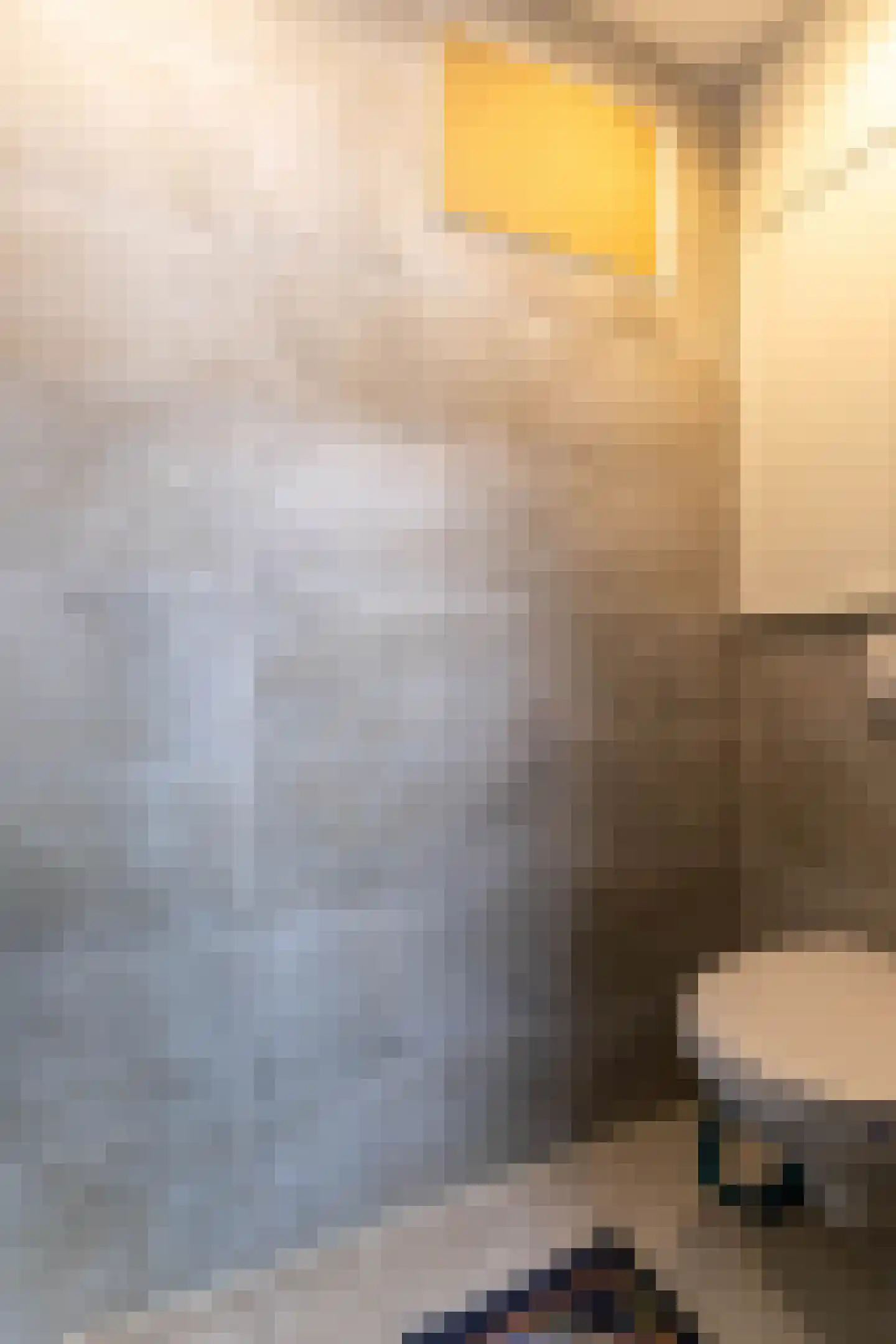 Rode Zee 31 Zaandam thumbnail 22