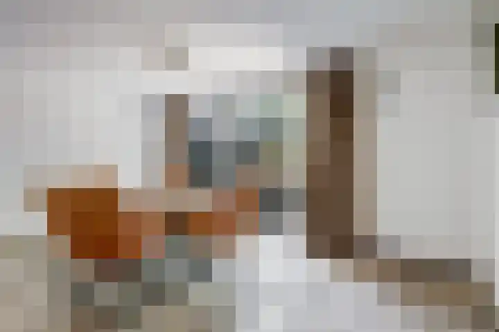 Rode Zee 46 Zaandam thumbnail 12
