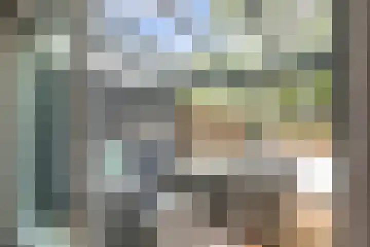 Rode Zee 46 Zaandam thumbnail 13