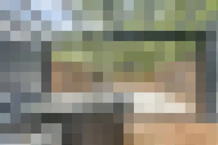 Rode Zee 46 Zaandam thumbnail 14