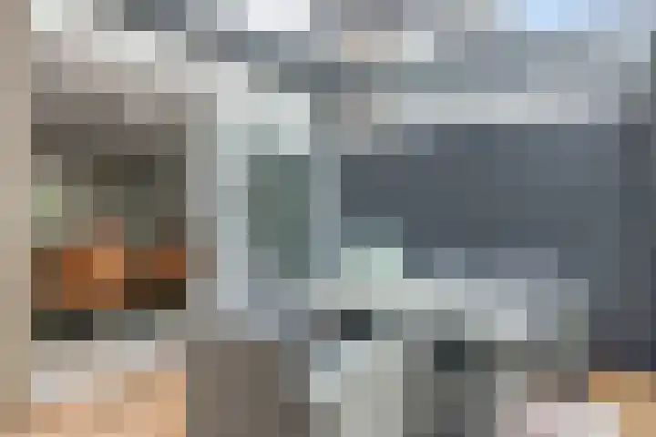 Rode Zee 46 Zaandam thumbnail 15